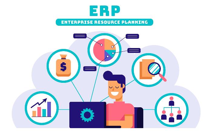customized erp solution