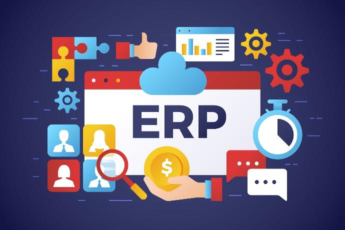 erp for large and SMEs